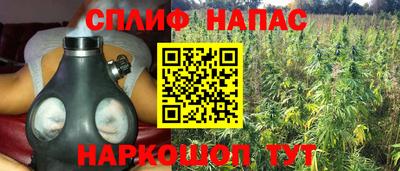 ПСИЛОЦИБИНОВЫЕ ГРИБЫ Канаш