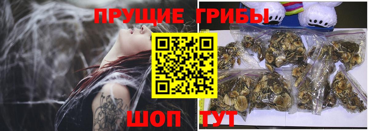 Галлюциногенные грибы Psilocybine cubensis  Вход с VPN  Краснодар  Галлюциногенные грибы GOLDEN TEACHER 